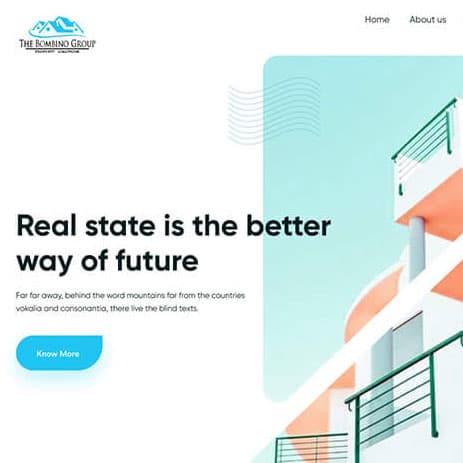 Website Design 11 — Websites · Case Study