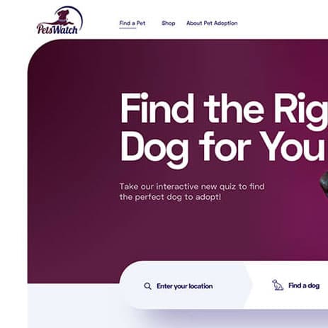 Website Design 12 — Websites · Case Study